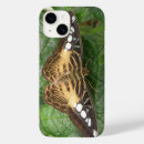 Pesquisar por borboleta tropical iphone capas Animais