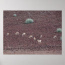 Pesquisar por food pósteres pôsteres For her