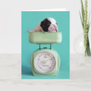 Pesquisar por french bulldog de cartoes Humor