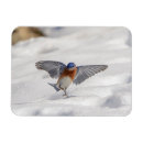 Pesquisar por dançando cartoes Neve