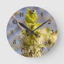 Pesquisar por pomar relogios de parede Verde