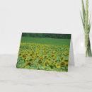 Pesquisar por prado cartoes Foto