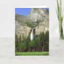 Pesquisar por california cartoes North america
