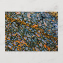 Pesquisar por fóssil cartoes postais Mineral