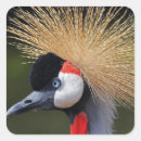 Pesquisar por guindaste papel adesivos Preto