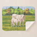 Pesquisar por vitelo mantas Gado