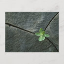 Pesquisar por dedicação cartoes postais Perseverança