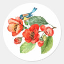 Pesquisar por pássaro azul adesivos Aquarela