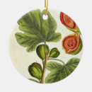 Pesquisar por erval ornamentos Flores