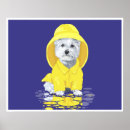 Pesquisar por westie pôsteres Animais