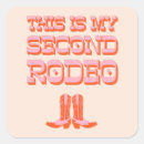 Pesquisar por rodeio adesivos Vaqueira