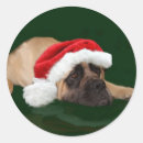 Pesquisar por mastiff inglês adesivos Natal