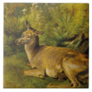 Pesquisar por animais selvagens azulejos Paisagem