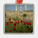 Pesquisar por colunas ornamentos Paisagem