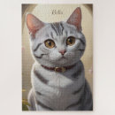 Pesquisar por olho de gato For pets