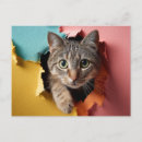 Pesquisar por papel colorido cartoes postais Gatinho