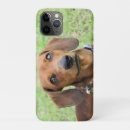 Pesquisar por dachshund capas Fofofo