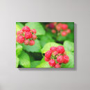 Pesquisar por fruta impressão de canvas Colorido