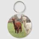 Pesquisar por alpacas chaveiros Animais