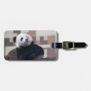 Pesquisar por peludo bagagem tags Fofo