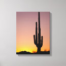 Pesquisar por saguaro cactus impressão de canvas Pôr do sol