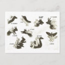 Pesquisar por marionete cartoes postais Vintage