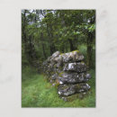 Pesquisar por árvores altas cartoes postais Paisagem