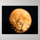 Pesquisar por silhouette pósteres pôsteres Céu noturno