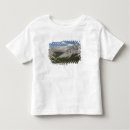 Pesquisar por lagoa azul camisetas Viagem