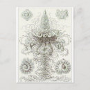 Pesquisar por ernst haeckel cartoes postais Biologia