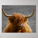 Pesquisar por cabana pôsteres Impressão