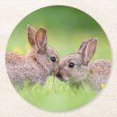 Pesquisar por beijando porta copos Amor