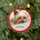 Pesquisar por yorkie ornamentos Fofo