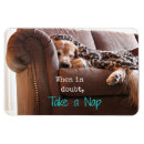 Pesquisar por tomas imas Engraçado