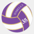 Pesquisar por voleibol adesivos Jogador