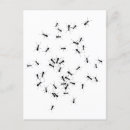 Pesquisar por trabalhar cartoes postais Trabalho