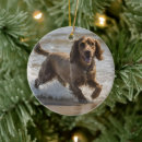 Pesquisar por cocker spaniel ornamentos Galinha