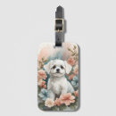 Pesquisar por cão maltês bagagem tags Cachorrinho