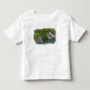 Pesquisar por adam jones camisetas Parque nacional