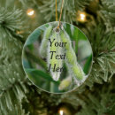 Pesquisar por agrícola ornamentos Agricultura