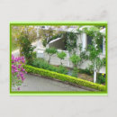 Pesquisar por vinho branco cartoes postais Verde