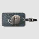 Pesquisar por cisne bagagem tags Branco