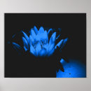 Pesquisar por flor lotus azul pósteres pôsteres Floral