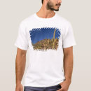 Pesquisar por cacto saguaro camisetas Tucson