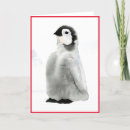 Pesquisar por pinguin cartoes Fofofo