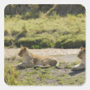 Pesquisar por panther adesivos Vida selvagem