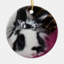 Pesquisar por coelho ornamentos Animal