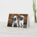 Pesquisar por pug bonito cartoes Animal
