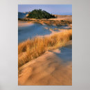 Pesquisar por dunas de areia pósteres pôsteres Grama