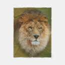 Pesquisar por rei leão mantas Animal